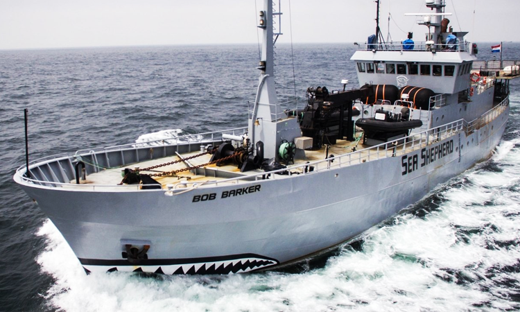 L’organisation non gouvernementale Sea Shepherd va contribuer à renforcer les actions de Madagascar en matière de surveillance maritime.