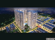 NGOẠI GIAO ĐOÀN