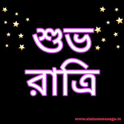 bengali good night picture, bangla good night picture sms, শুভ রাত্রি_subho ratri photo download