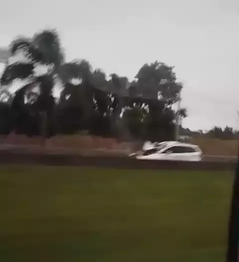 Carro bate em um cavalo na Regis Bittencourt e uma pessoa veio a óbito