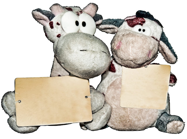 Two stuffed cows holding blank signs.