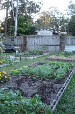 Vegetable gardening for beginners - the 3 x 3 method