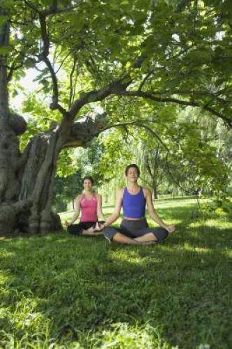 Yoga School Guidelines