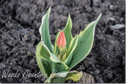 APRIL 2016 (8 of 45)
