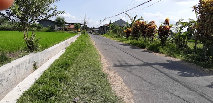 Tanah Murah Strategis Pinggir Jalan Utara Pasar Tanjung Berbah Sleman