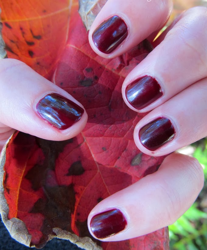 Fall Glamour Goes Stateside: 17 Top Nail Art Ideas