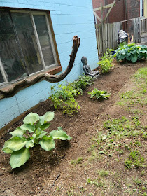 High Park North Backyard Garden Installation After by Paul Jung Gardening Services--a Toronto Gardening Company