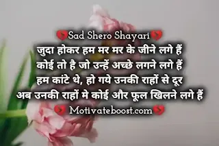 Hindi sad Shayari for life