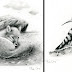 Scenes of Cute Animal Pencil Drawings