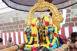 Sri Theliya Singar,Avani, Swathi ,Parthasarathy Perumal Temple,Purappadu,2016, Video, Divya Prabhandam,Sri Parthasarathy Perumal, Triplicane,Thiruvallikeni,Utsavam,