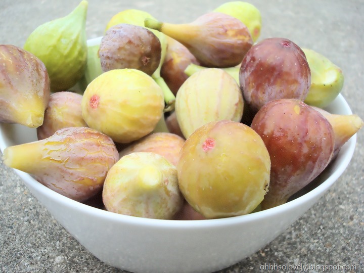 figs