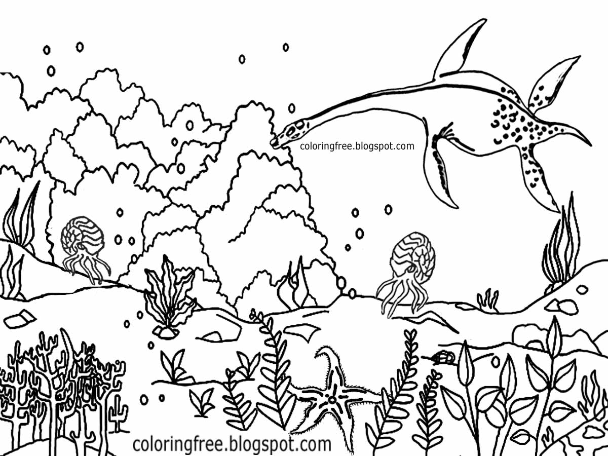 Marine Reptiles Coloring Pages Printables Coloring Pages