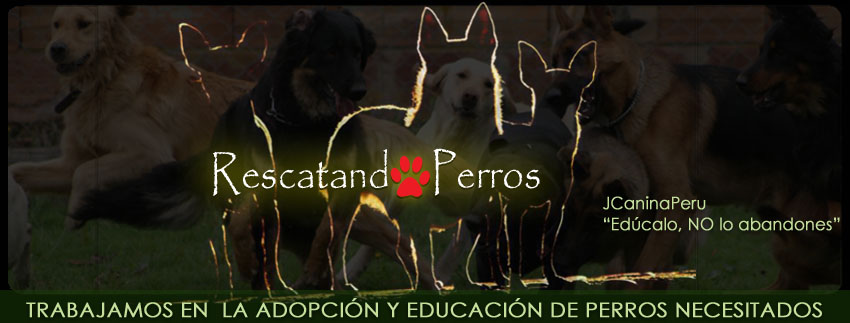 PROYECTO RESCATANDO PERROS