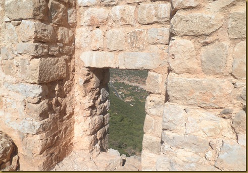 Syria 9 059