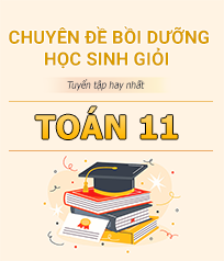 Chuyên đề bồi dưỡng học sinh giỏi toán 11