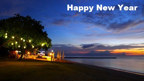 Happy New Year Celebrations Images Beach