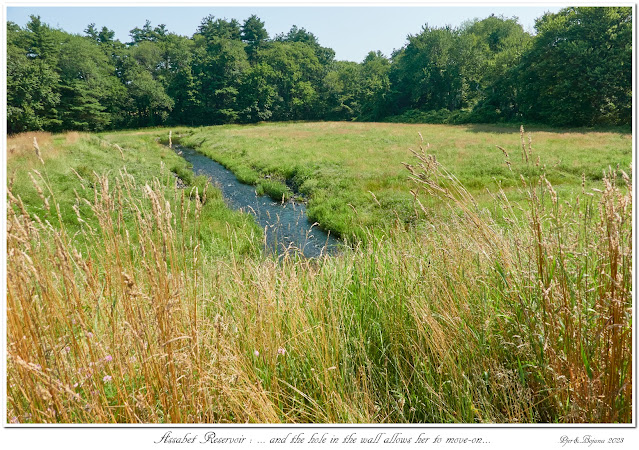 Assabet Reservoir: ... and the hole in the wall allows her to move-on...