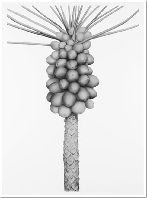 papaya_synapse
