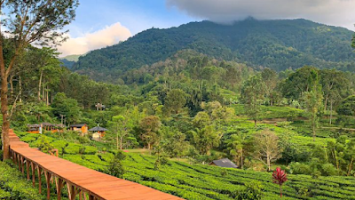 Destinasi Menarik di Bogor, Jadi Alternatif Berlibur Saat di Bogor