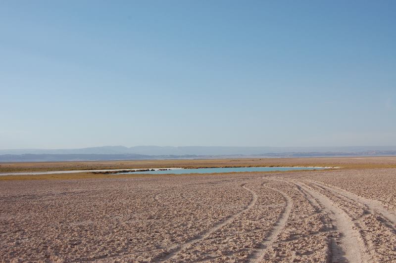 The Ojos del Salar “The Eyes of the Salt Flat” Two perfectly round pools in the middle of a wide expanse of cracked earth, sand and brittle clumps of grass. 