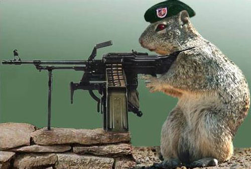 Funny Animal With Guns