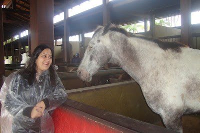 Animais do Beto Carrero World