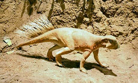 Psittacosaurus: Daripada 4 kaki kepada 2 kaki