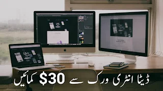 ڈیٹا انٹری ورک سے کیسے 30 منٹس میں 30 ڈالر کمائیں