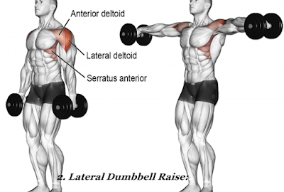 Top 5 Shoulders Exercises For Rapid Growth