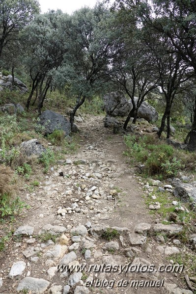 Sendero El Bosque - Benamahoma - Grazalema