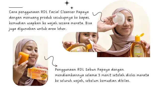 cara penggunaan RDL