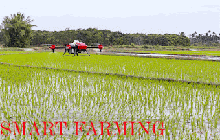 Apa Itu Smart Farming Pada Pertanian (Inovasi Digital)