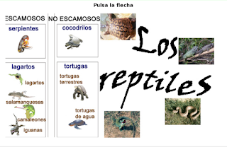 http://www.ceiploreto.es/sugerencias/cplosangeles.juntaextremadura.net/web/curso_3/naturales_3/reptiles/reptiles.html