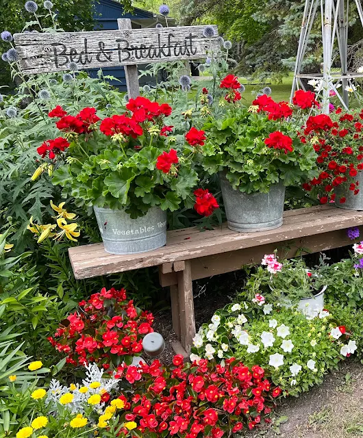 Photo of a long wooden bench in a flower border.