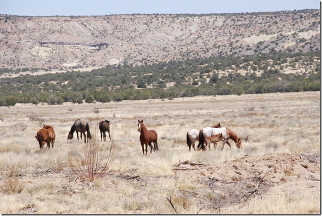 04-22-13 B Acoma Sky City and Cultural Center Area 015