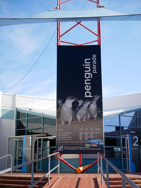 Penguin Parade, Phillip Island