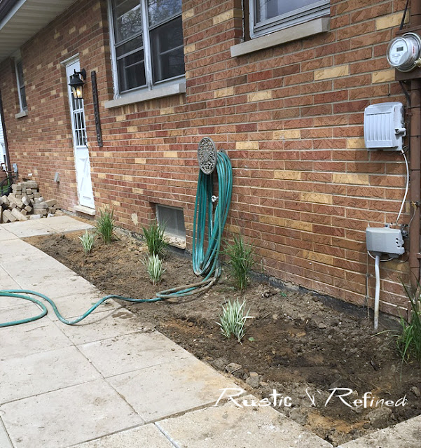 new garden bed - planting low water usage plants