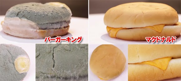 マクドナルドとその他のハンバーガーを一週間放置した衝撃の結果 Owariyoshiaki Com