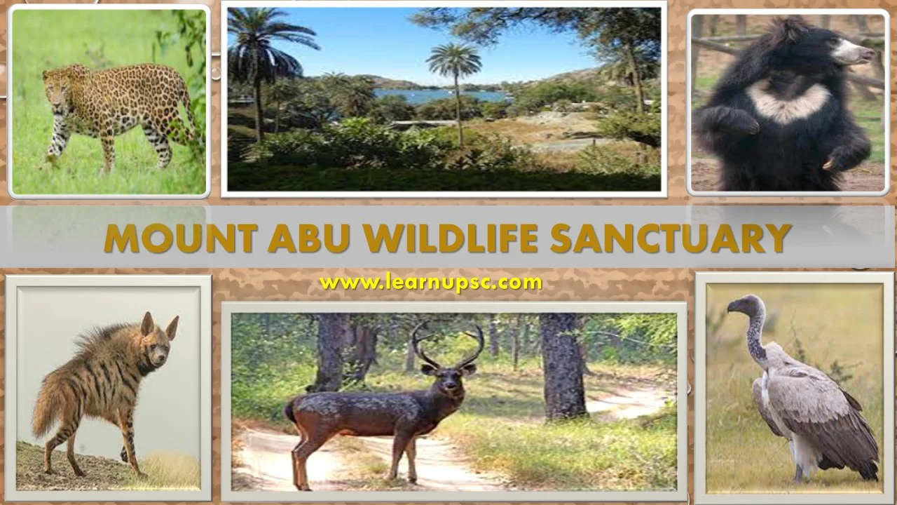 Mount Abu Wildlife Sanctuary