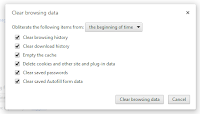 Clear browsing history, Clear download history, Empty the cache, Delete cookies and other site and plug-in data, Clear saved passwords, Clear saved Autofill form data