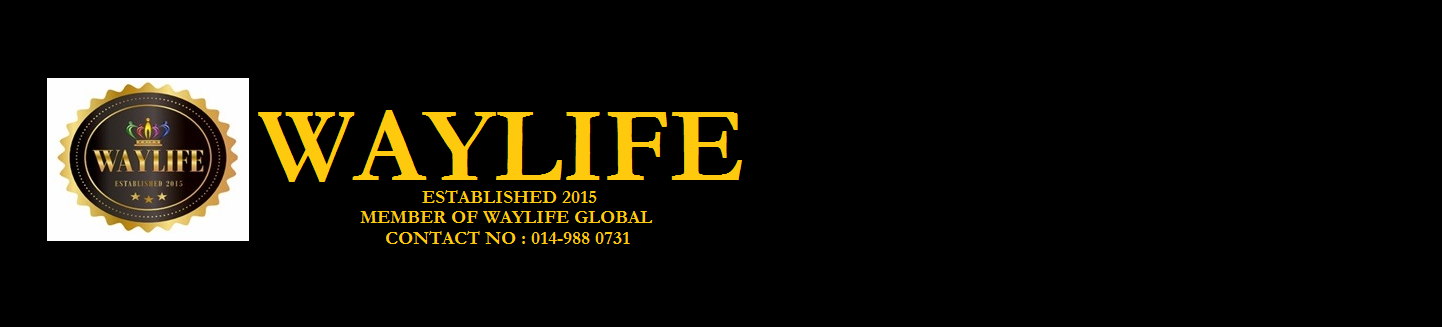 Waylife Global