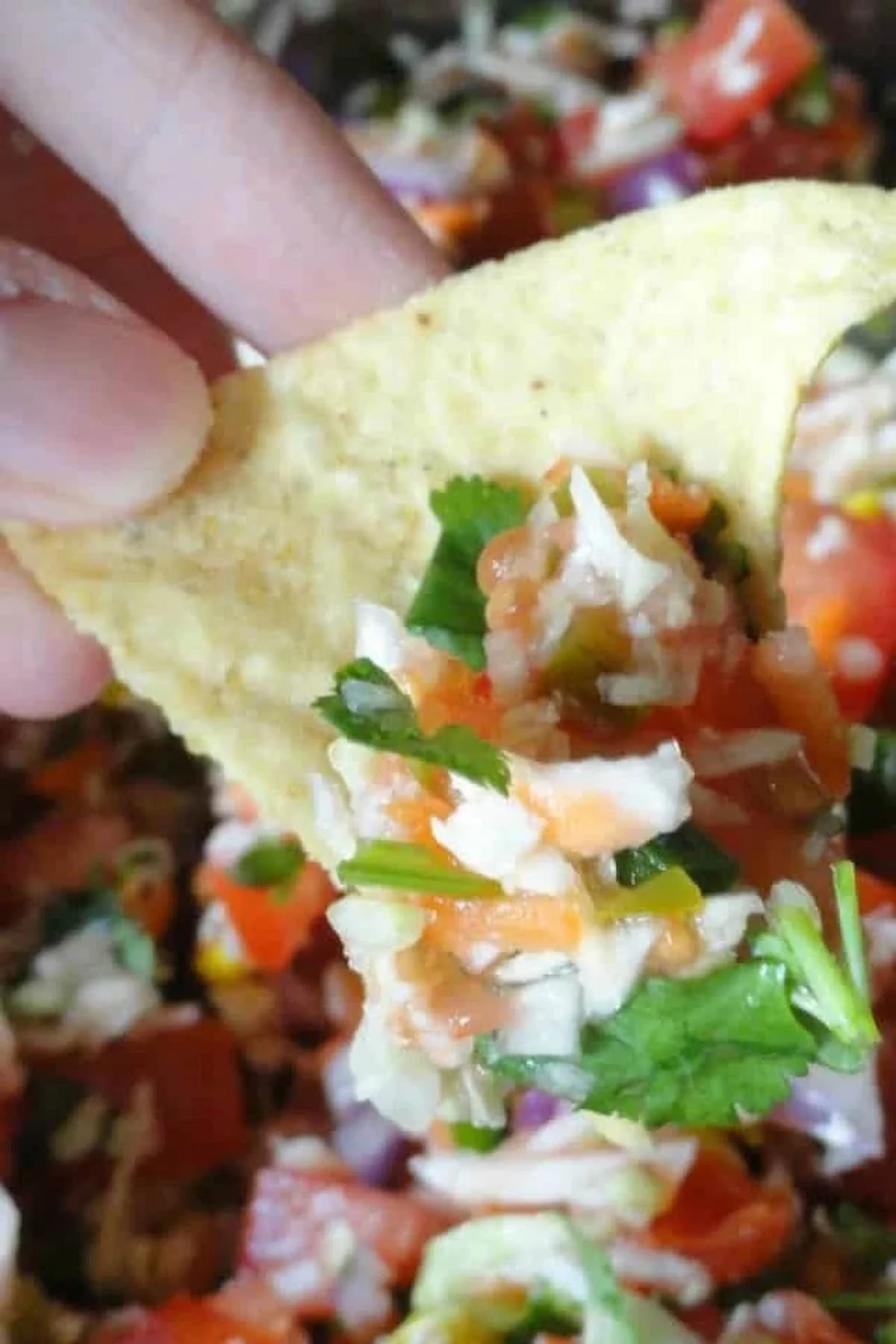 Pico De Gallo being scooped with a chip.