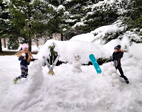 Barbie winter sports skiing snowboard