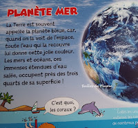 Bulles de Plume - Fleurus - Pour les enfants : La Terre