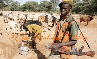 5 Dead As Fulani Herdsmen Waylay Villagers, Open Fire On Them In Benue