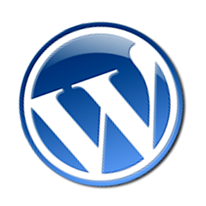 Membatasi Jumlah Tags Pada Widget Tag Cloud Wordpress