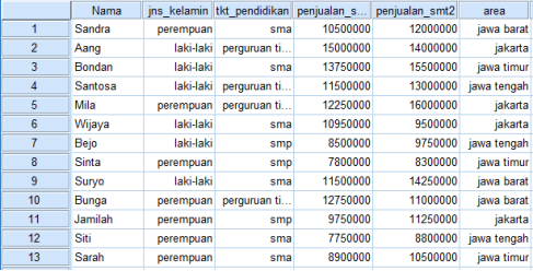 tampilan data yang akan kita buat pada data view SPSS