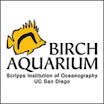 More About Birc Aguarium