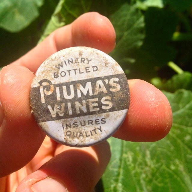 piuma wines