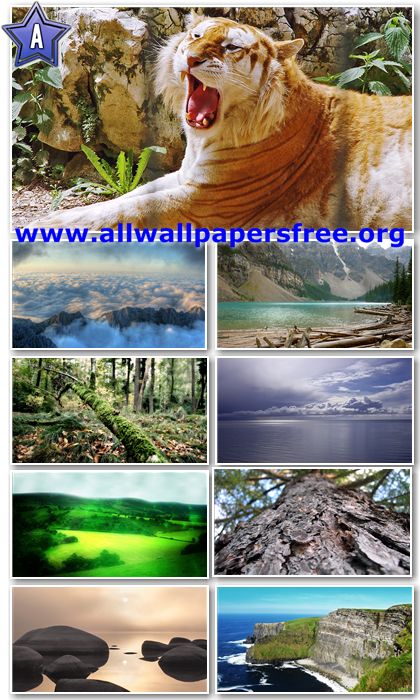 20 Amazing Nature Full HD Wallpapers 1080p [Set 32]